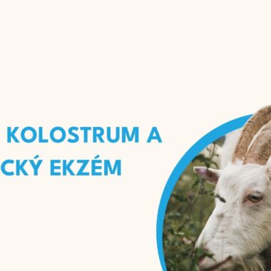 Vitiligo a kozí kolostrum