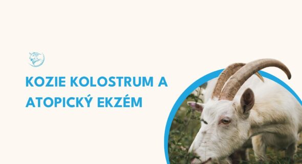 Atopický ekzém a kozí kolostrum