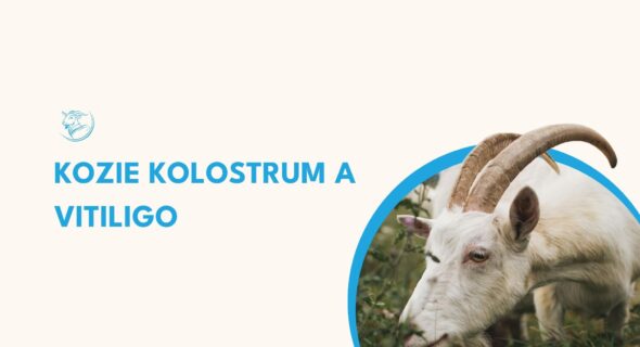 Vitiligo a kozí kolostrum